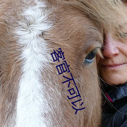 客官不可以 （血海深仇）