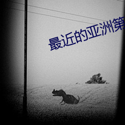 最近的亞洲第一二