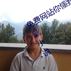 免费(費)网站你懂我(我)意思正(正)能(能)量(量)www正能量小说(說)