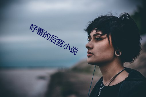 好看的后宫小说(shuō)