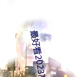 最(最)好看2023高清中文字(字)幕视频