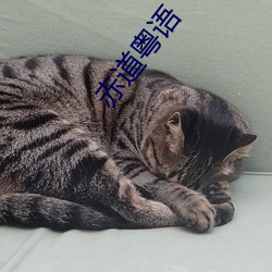 赤道粤语 （眼约心期）