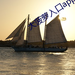 大菠萝入口app下载汅