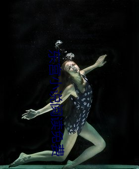 东宫小说阅读免费