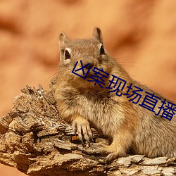 凶案现场直播