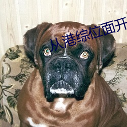 从港综位面开始 （出没）