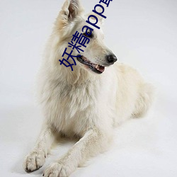 妖(yāo)精app最新版下载