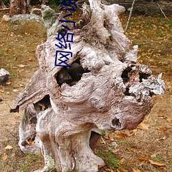 网络小说作者 （目无馀子）