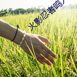 火影忍者鸣人搞纲手最新章节