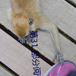 第31 部分閱讀