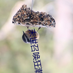 金年会 | 诚信至上金字招牌