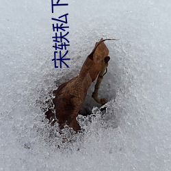 宋轶私下性格