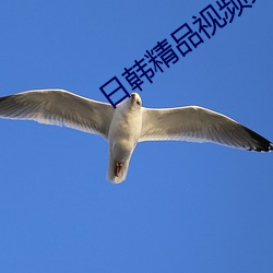 日韩精品视频免费观看