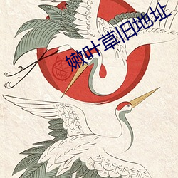 嫩叶草旧地址