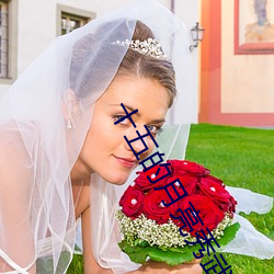十五的月亮秀武和董振山結局