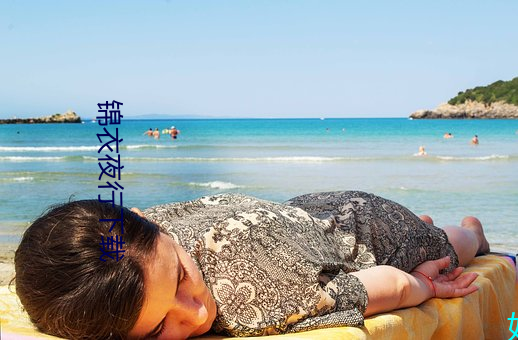锦衣夜行下(下)载