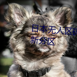 日本無人區碼卡二卡三卡打造全新分區