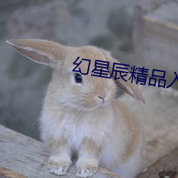 幻星(xīng)辰精品入(rù)口(kǒu)