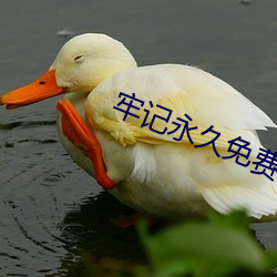 尊龙凯时-人生就是搏!