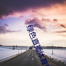 綠色直播體育直播