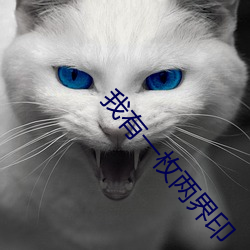 我有一枚兩界印