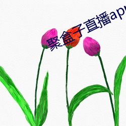 聚(jù)盒子直播app下载