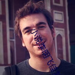 小说李明飞佳梦在线阅读