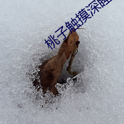 金年会 | 诚信至上金字招牌