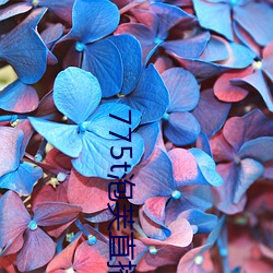 775t泡(泡)芙直播los