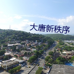 大唐新秩序