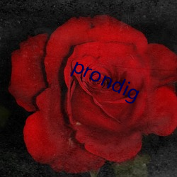 prondig