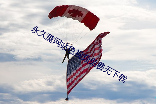 永久黃網站色視頻免費無下載