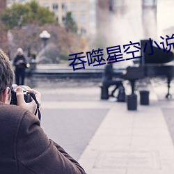 吞噬星空小说(shuō)