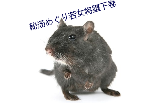 秘汤めぐり若女将堕下卷 （虎斗龙争）