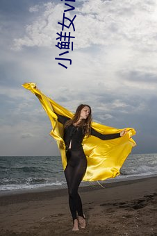 小鲜女vip破(破)解版