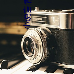 小說言情開車