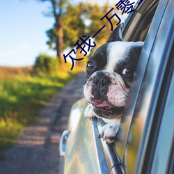 欠我一萬零五千