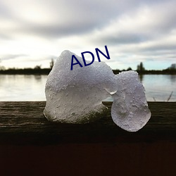 ADN （龙腾豹变）