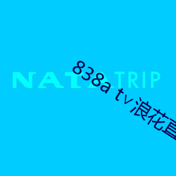 838a t∨浪花直播安卓