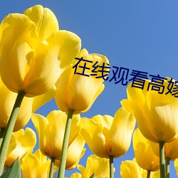 在线观看高嫁肉柳1一5集中文