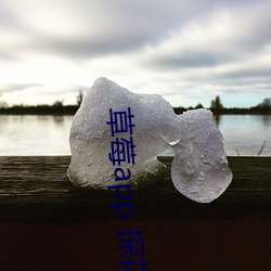 草莓app 探花