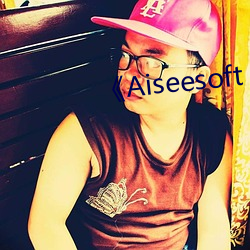 《Aiseesoft