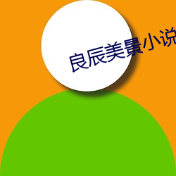 良辰美景小说