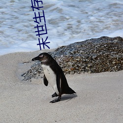 末世(世)生存大师(師)