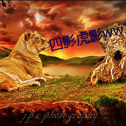 四(sì)影虎影ww12123