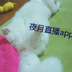 夜月直播app下载 （枝叶相持）