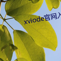 xviode官网入口怎么用 （阳春白雪）