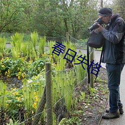 春日失格 （指名道姓）