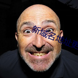 新域名地址更换