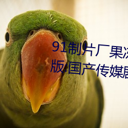 91制片厂果冻传媒大象传媒完整版:国产传媒剧情影视高清在